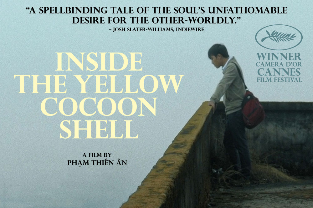 Inside the Yellow Cocoon Shell